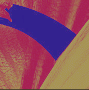 Image-3